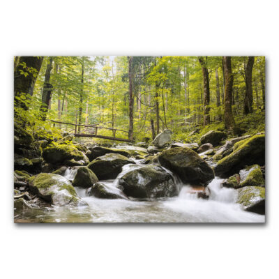 Akustikbild Waldbach mit Brücke