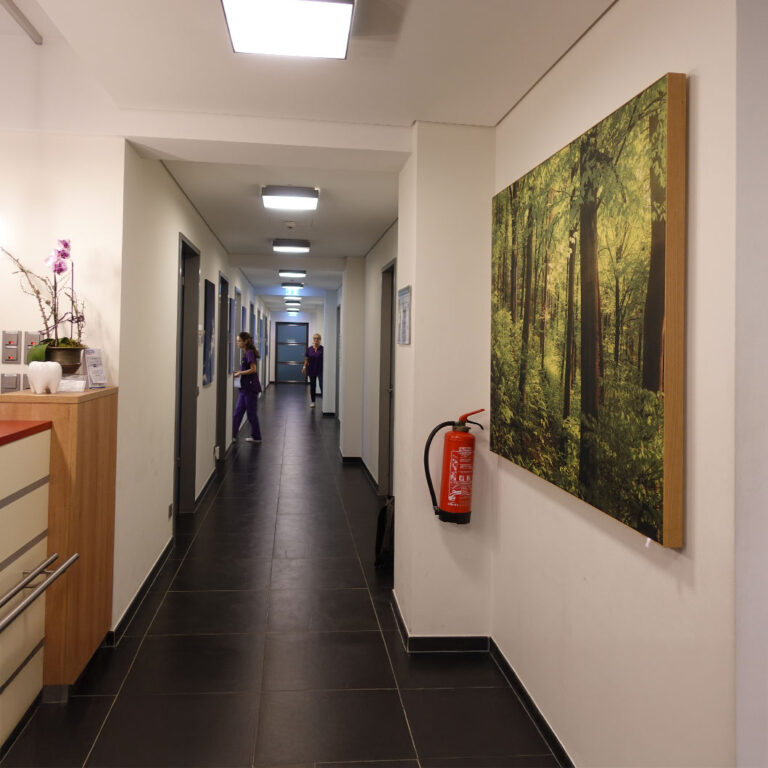 Akustikbild mit Motiv Wald 2