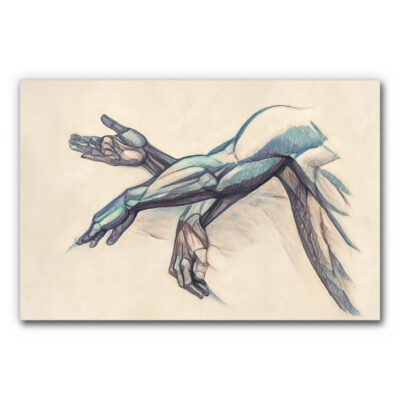 Akustikbild Bewegungsschema zeigt den Bewegungsablauf eines Armes in drei verschiedenen Positionen.