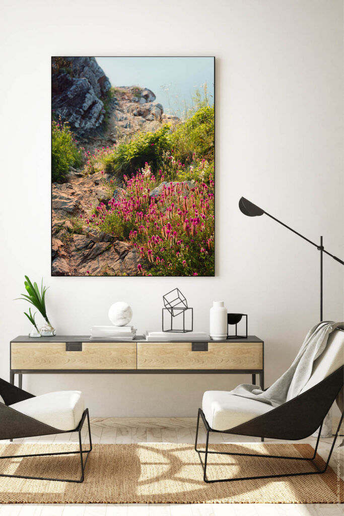 Akustikbild Wildblumen