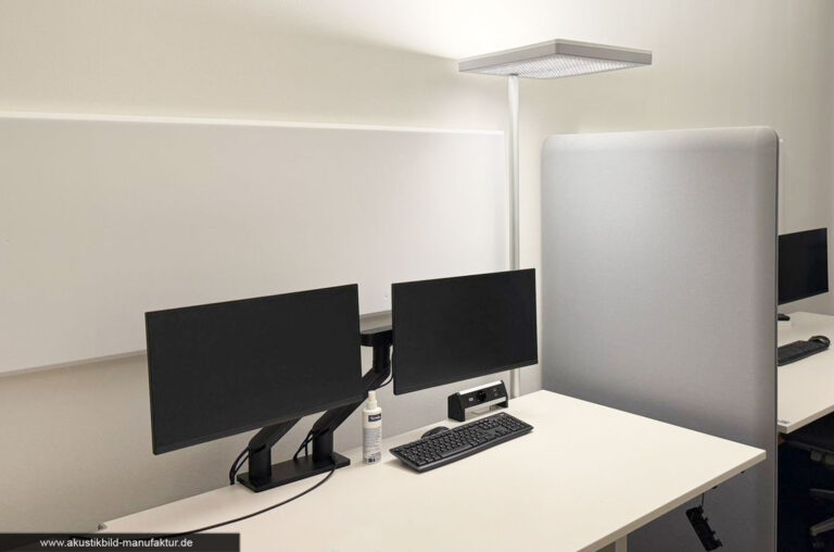 Akustikdämmung im Zwei-Personen-Büro