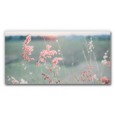 Akustikbild Spätsommer (200x100x4 cm CanvasStyle)