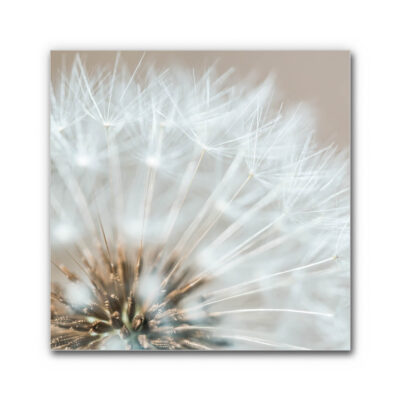 Akustikbild Sommerhauch