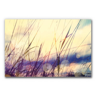 Akustikbild mit Gräsern im Morgenlicht