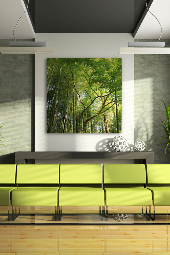 Akustikbild Tropenwald