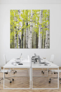 Akustikbild mit Wald in einem hellen, freundlichen Büro