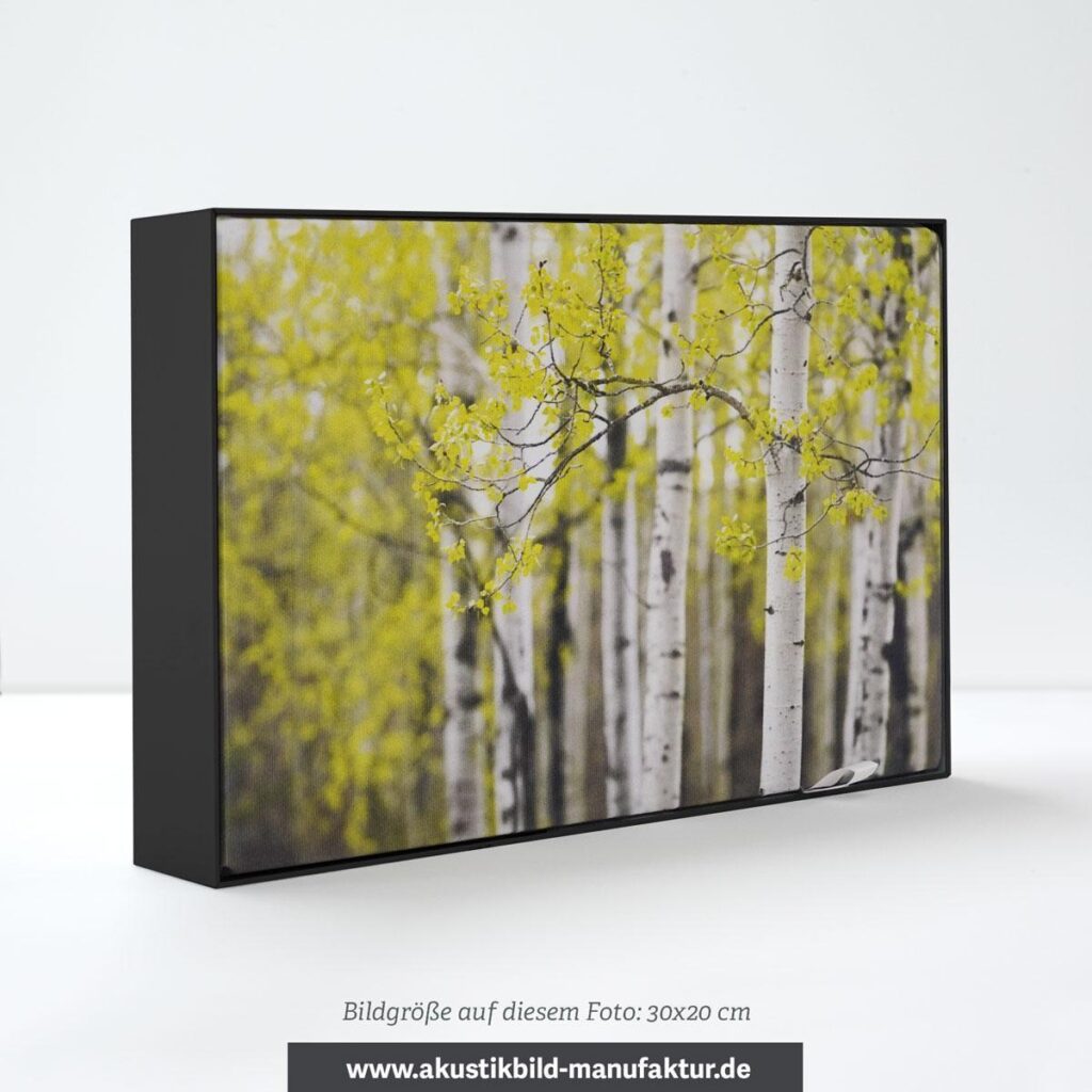 Muster Akustikbild – Motivdruck mit AluStyle Silber