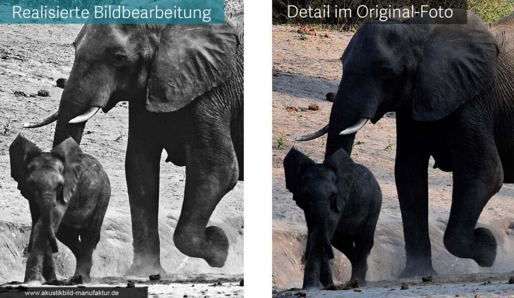 Akustikbild mit eigenem Foto + Profi Grafik Bearbeitung