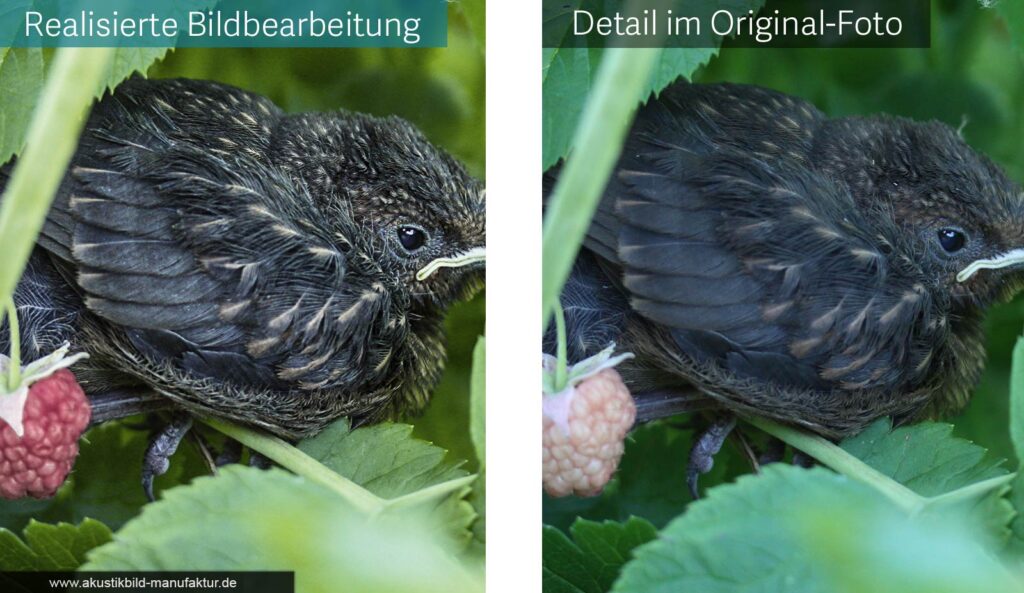 Akustikbild mit eigenem Foto + Profi Grafik Bearbeitung