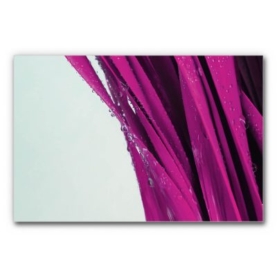 Akustikbild mit Wassertropfen auf Blättern