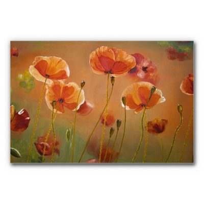 Buero-raum-akustik-verbessern-mit-bilder-natur-malerei-mohnfeld-2-3