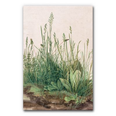 Akustikbild Das große Rasenstück von Albrecht Dürer ist eine Illustration die ein Detail einer Wiese zeigt.