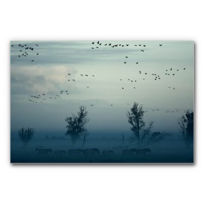 Schallschutz-Bild Pferde Landschaft mit einer Pferdeherde im Morgennebel, fliegenden Vögeln am Himmel und kahlen Bäumen, ruhige Nebelstimmung in Blau- und Grautönen, Bild zur Raumakustik.