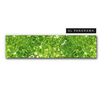 akkustik-bilder-schallschutz-schalldaemmung-buero-esstisch-motiv-waelder-und-baeume-wald-blaetter-laub-waldgefluester-10