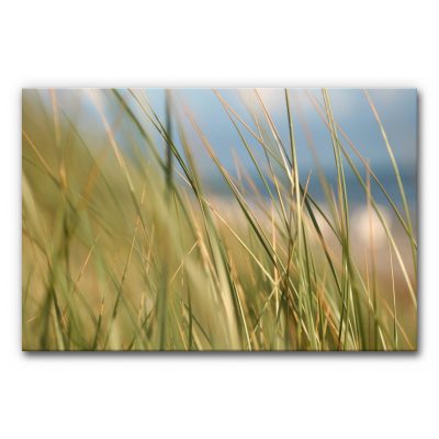 Akustikbild mit Gräsern vor einem fernen Meereshintergrund
