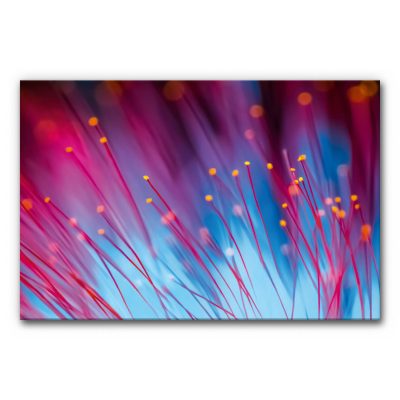 akkustik-bilder-schallschutz-schalldaemmung-home-office-buero-esstisch-motiv-details-der-natur-lichtspiel-blumen-leuchtende-faeden-3