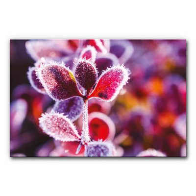 akkustikbilder-schallabsorberbilder-schallelemente-raumakustik-verbessern-wandmotive-winter-winterzweig-1-3