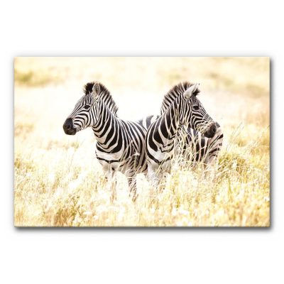 akkustikelemente-wandbilder-wandabsorber-motiv-tiere-zwei-zebras-3