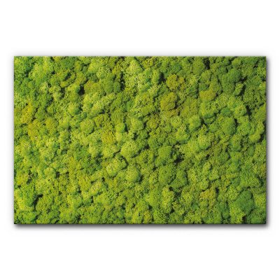akustik-elemente-schallschutzbilder-raumakustik-schallabsorber-wand-dekoration-vertical-garden-moosbild-viii-3