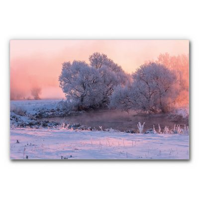 akustikbild-manufaktur-grossformat-schallschutz-xxl-winterwald-panorama-9