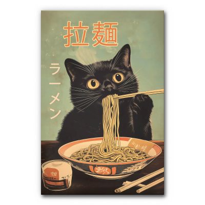 Akustikbild Katze mit Nudeln