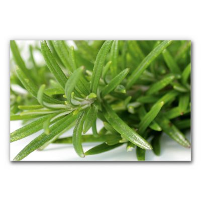 akustikbild-manufaktur-kueche-restaurant-rosmarin-3