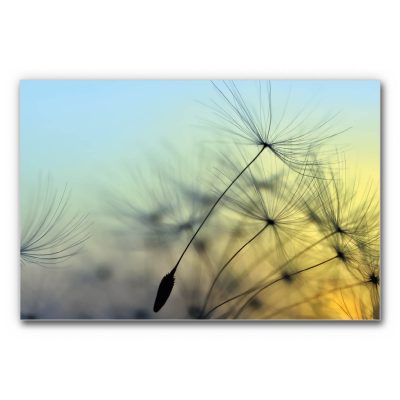 Akustikbild mit Naturmotiv Pusteblume in Türkis und Gelb