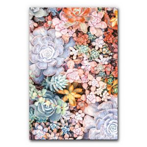 Natur Akustikbild Sukkulenten mit vielfältigen rosettenförmigen Pflanzen in Grün-, Grau-, Rosé- und Orangetönen, detailreiches Pflanzenmotiv, schallminderndes Wandbild zur Raumakustik.