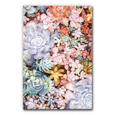 Natur Akustikbild Sukkulenten mit vielfältigen rosettenförmigen Pflanzen in Grün-, Grau-, Rosé- und Orangetönen, detailreiches Pflanzenmotiv, schallminderndes Wandbild zur Raumakustik.