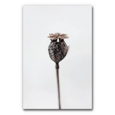 akustikbild-schallabsorber-herbstknospe-6