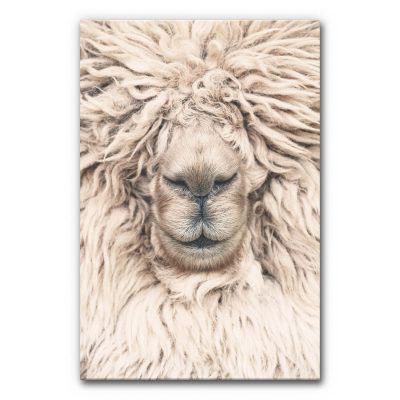 akustikbild-schallabsorber-kinder-lustig-tiere-wolle-alpaka-6