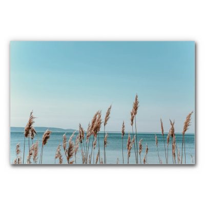 Akustikbild Gräser 5