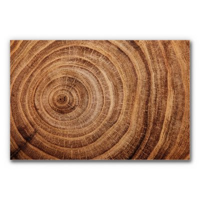 akustikbild-wanddeko-holz-baum-wood-3-3