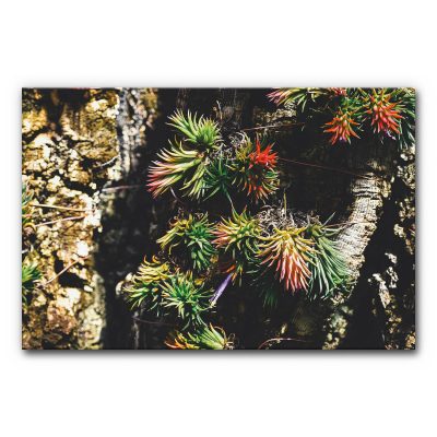 akustikbilder-manufaktur-schallschutz-elemente-wandabsorber-herbst-moosbild-tropen-vertical-garden-i-3