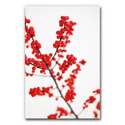 akustikbilder-manufaktur-schallschutz-elemente-wandabsorber-herbst-winter-dekoration-rot-winter-berry-6