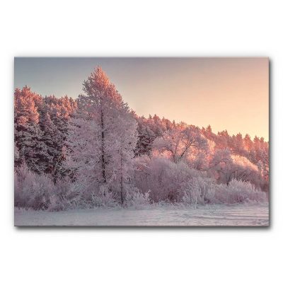 akustikbilder-mit-motiv-schallschutz-wohnung-einfamilienhaus-buero-kanzlei-winter-landschaft-wald-natur-winterwald-3