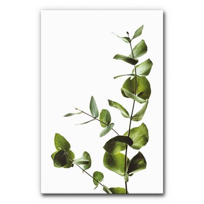 Schallabsorberbild Naturmotiv modern mit grünem Pflanzenzweig, runde Blätter an feinem Stiel vor weißem Hintergrund, minimalistisches schallminderndes Akustikbild.