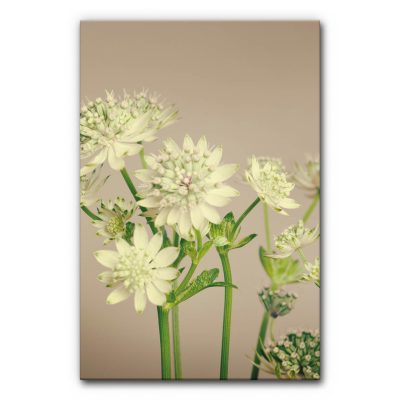 akustikbilder-raumakustik-verbessern-schallschutzelemente-wandabsorber-vertical-garden-natur-kleiner-garten-6