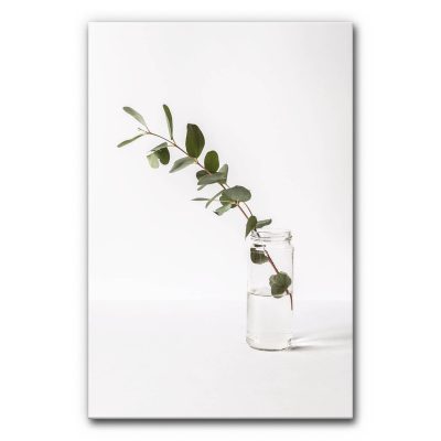akustikelement-wandabsorber-akustikbild-wanddeko-herbst-scandinavian-vertical-garden-eucalyptus-kleiner-garten-6