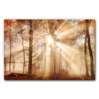arztpraxis-raumakustik-hall-wandbild-akustibild-landschaft-natur-120x80-herbstwald