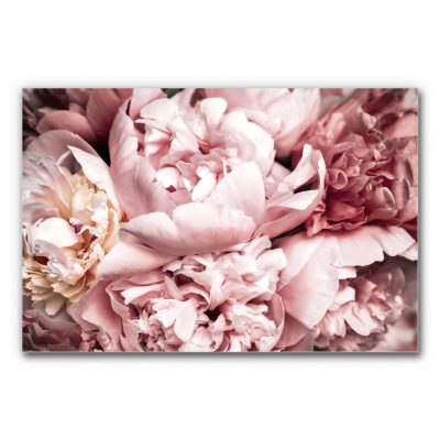 buero-raum-akustik-verbessern-mit-bilder-natur-blueten-pfingstrosen-2-3