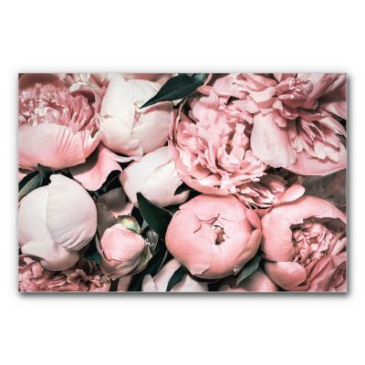 Akustisches Wandbild Detail Blumen zeigt eine Nahaufnahme von Pfingstrosenblüten mit vielen übereinanderliegenden Blütenblättern, die das Bild vollständig ausfüllen und eine weiche, ruhige Wirkung erzeugen.