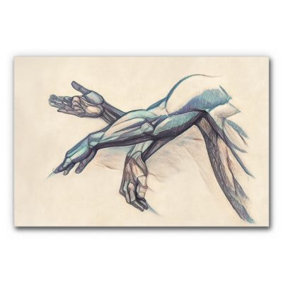 Akustikbild Bewegungsschema zeigt den Bewegungsablauf eines Armes in drei verschiedenen Positionen.