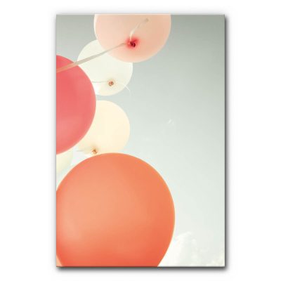 raumakustik-schallabsorber-bild-wandabsorber-gegen-hall-massnahme-ballon-1-5