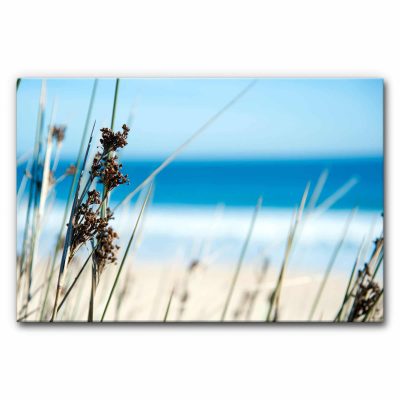 raumakustik-verbessern-schallabsorberbilder-hall-reduzieren-motiv-landschaft-strand-duenen-gras-2