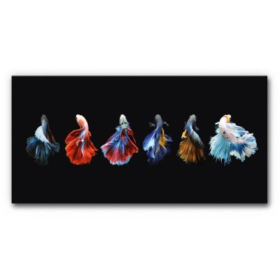 restaurant-raum-akustik-verbessern-mit-bilder-natur-siamesischer-kampffisch-flammender-tanz-