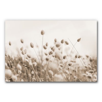 Akustikbild mit Gräsern in Beige