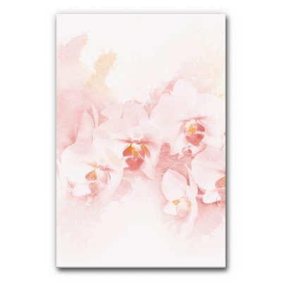 Akustikbild Orchidee