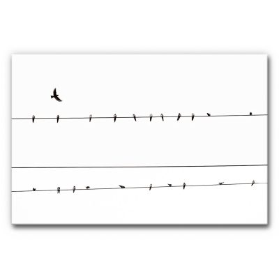 Akustikbild Vögel in Reihe