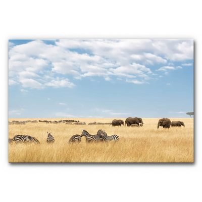 Schallabsorber Akustikbild Zebras und Elefanten im Format 120 x 80 cm